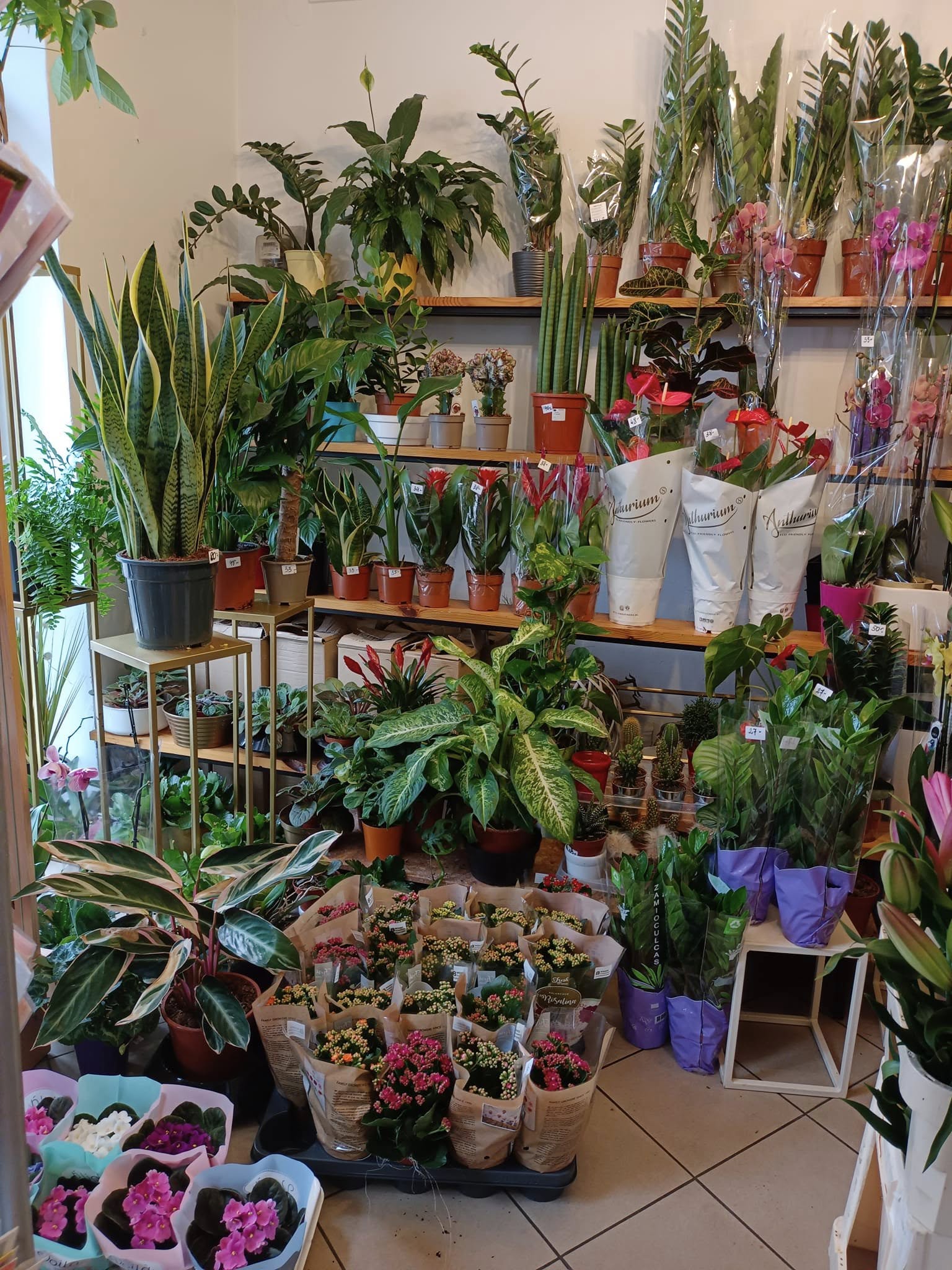 Nasza kwiaciarnia